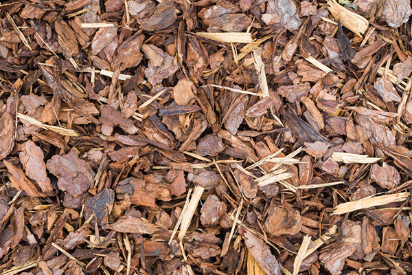 Mulch, Rindenmulch, 